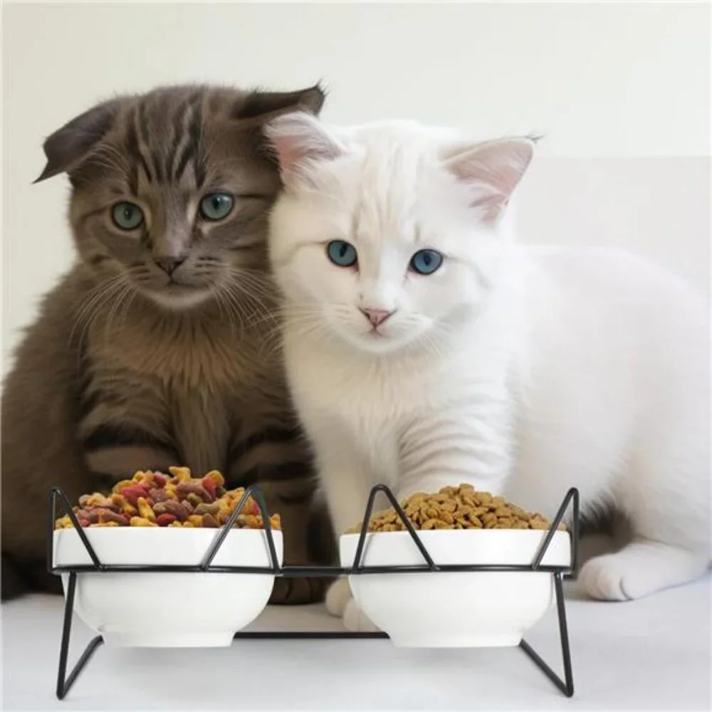 Elevated Tilted Cat Bowls for Indoor Cats，Raised Ceramic Cat Bowl Elevated15°
